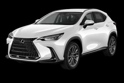 Bild Lexus NX