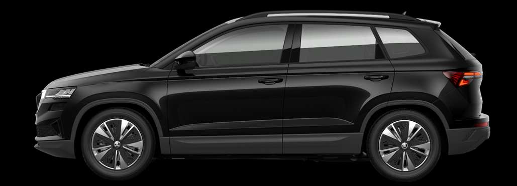 Seitenansicht eines Skoda Karoq