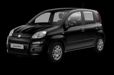 Bild Fiat Pandina