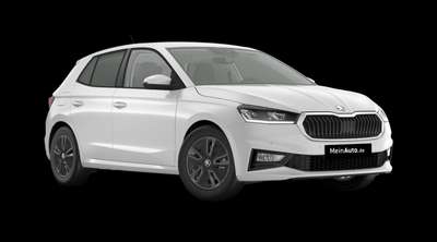 Bild Skoda Fabia