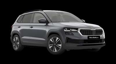 Bild Skoda Karoq