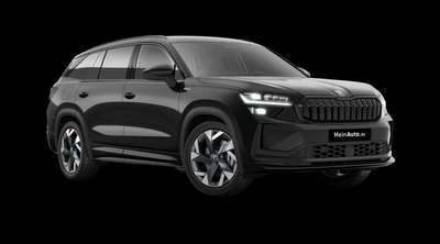 Bild Skoda Kodiaq