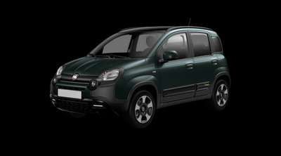 Bild Fiat Pandina