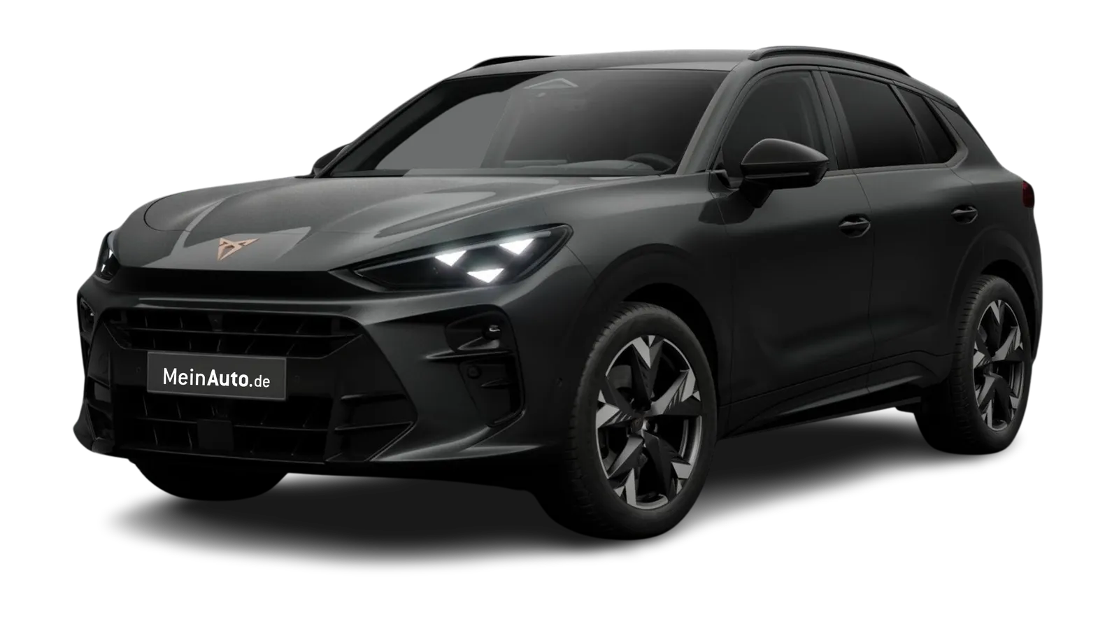 Terramar 2.0 TSI 7-Gang DSG 4Drive, 204 PS, Automatik, Benzin