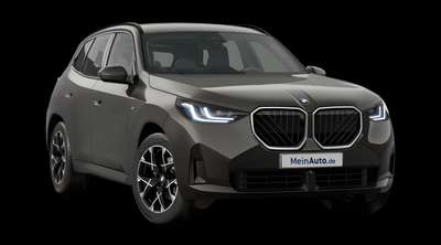 Bild BMW X3
