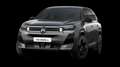 Schräge Frontansicht der Variante Platinum Grau Metallic - Dach Schwarz