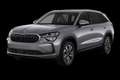 Schräge Frontansicht der Variante Graphite-Grau Metallic