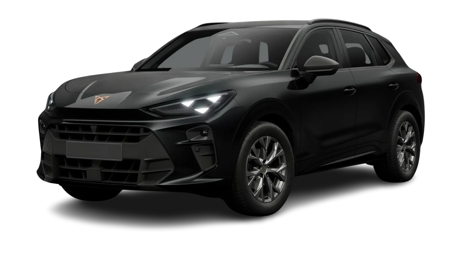 Terramar 2.0 TSI 195kW VZ DSG 4Drive