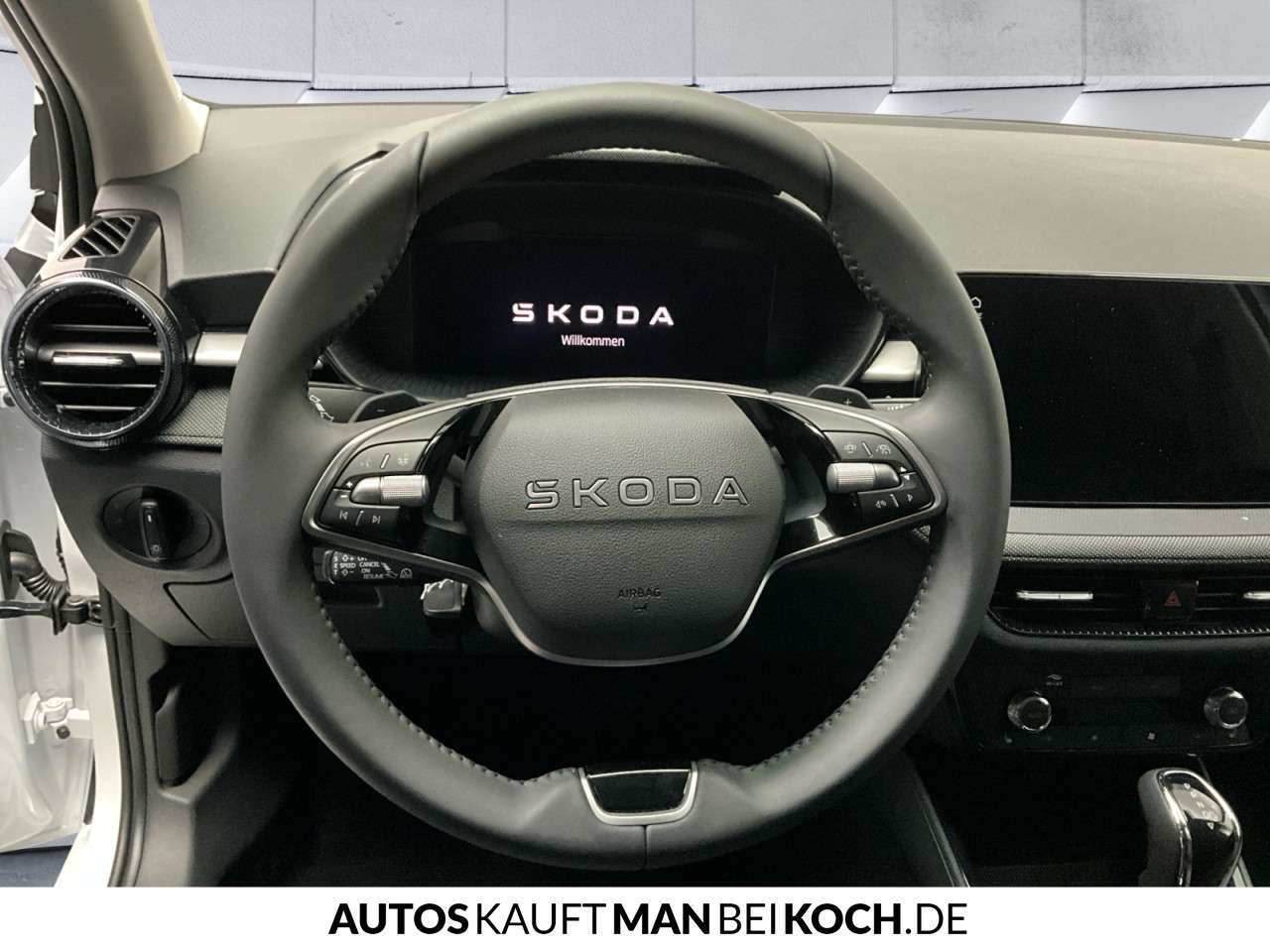 Fahrzeugbild eines Skoda Fabia