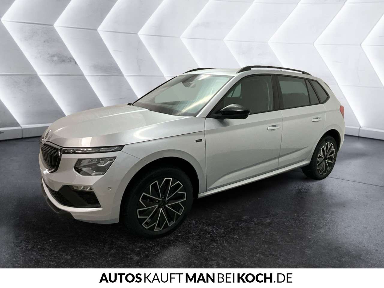 Fahrzeugbild eines Skoda Kamiq