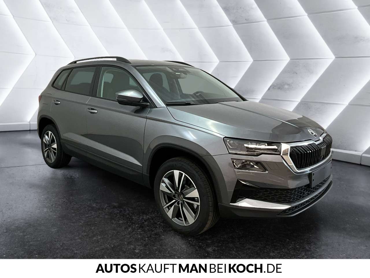 Fahrzeugbild eines Skoda Karoq