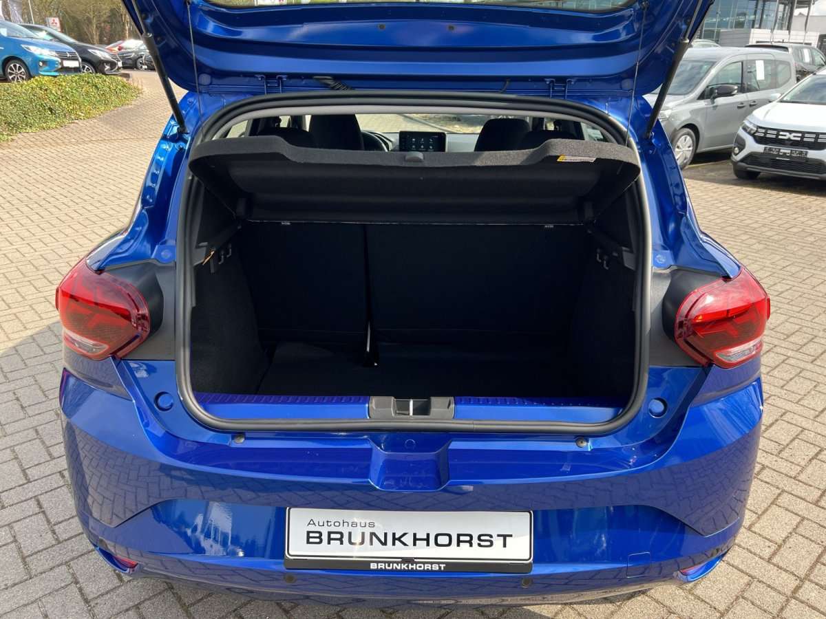 Fahrzeugbild eines Dacia Sandero