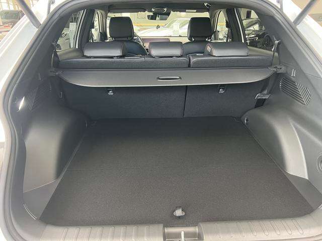 Fahrzeugbild eines Hyundai IONIQ