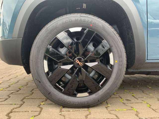 Fahrzeugbild eines Dacia Spring