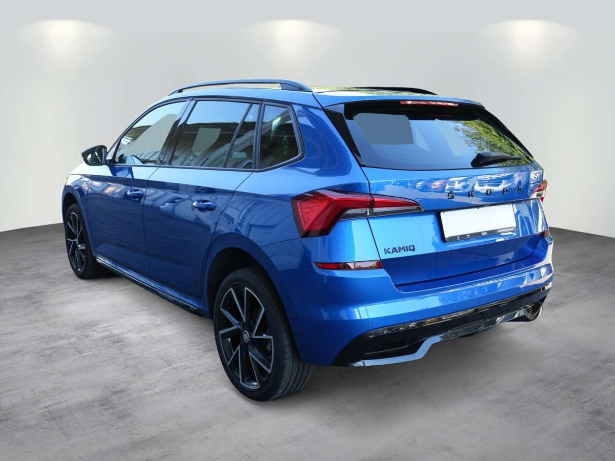 Fahrzeugbild eines Skoda Kamiq