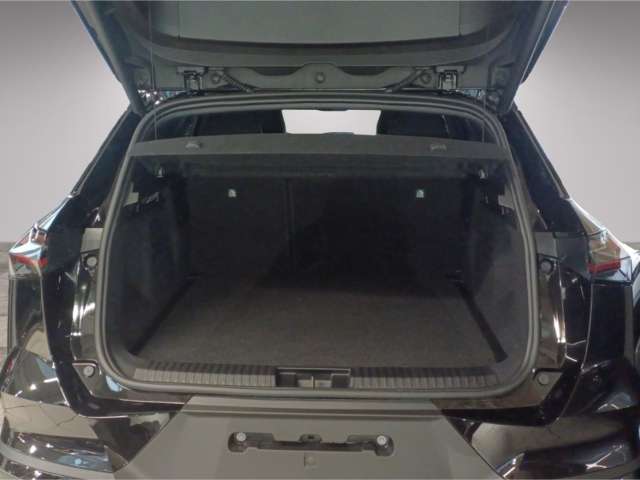 Fahrzeugbild eines Mitsubishi Grandis