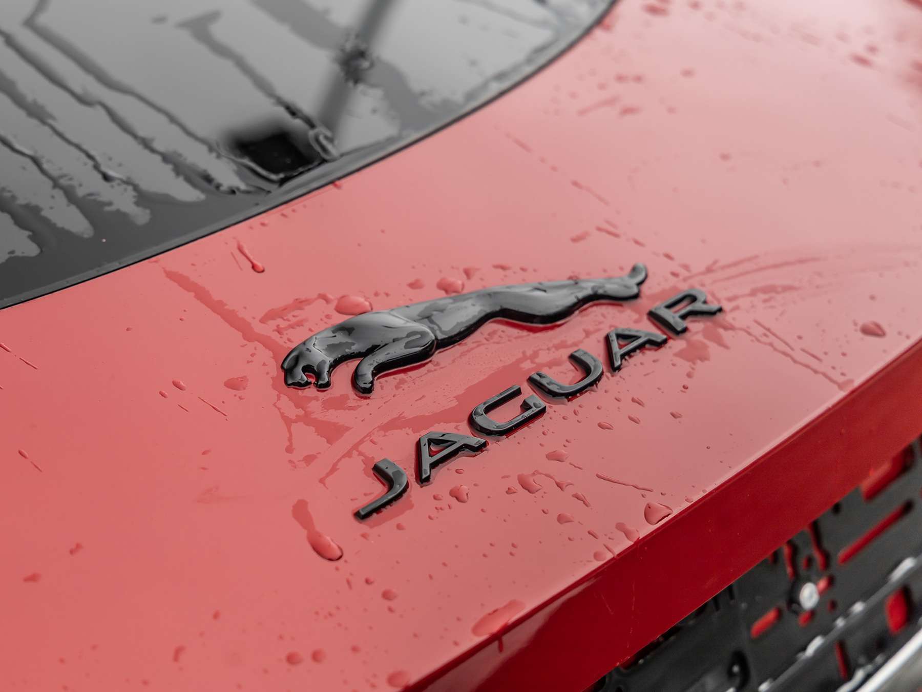 Fahrzeugbild eines Jaguar F-Type