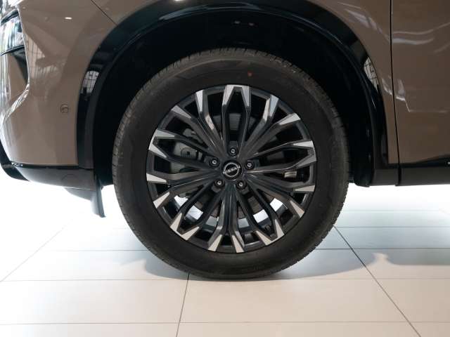 Fahrzeugbild eines Nissan X-TRAIL