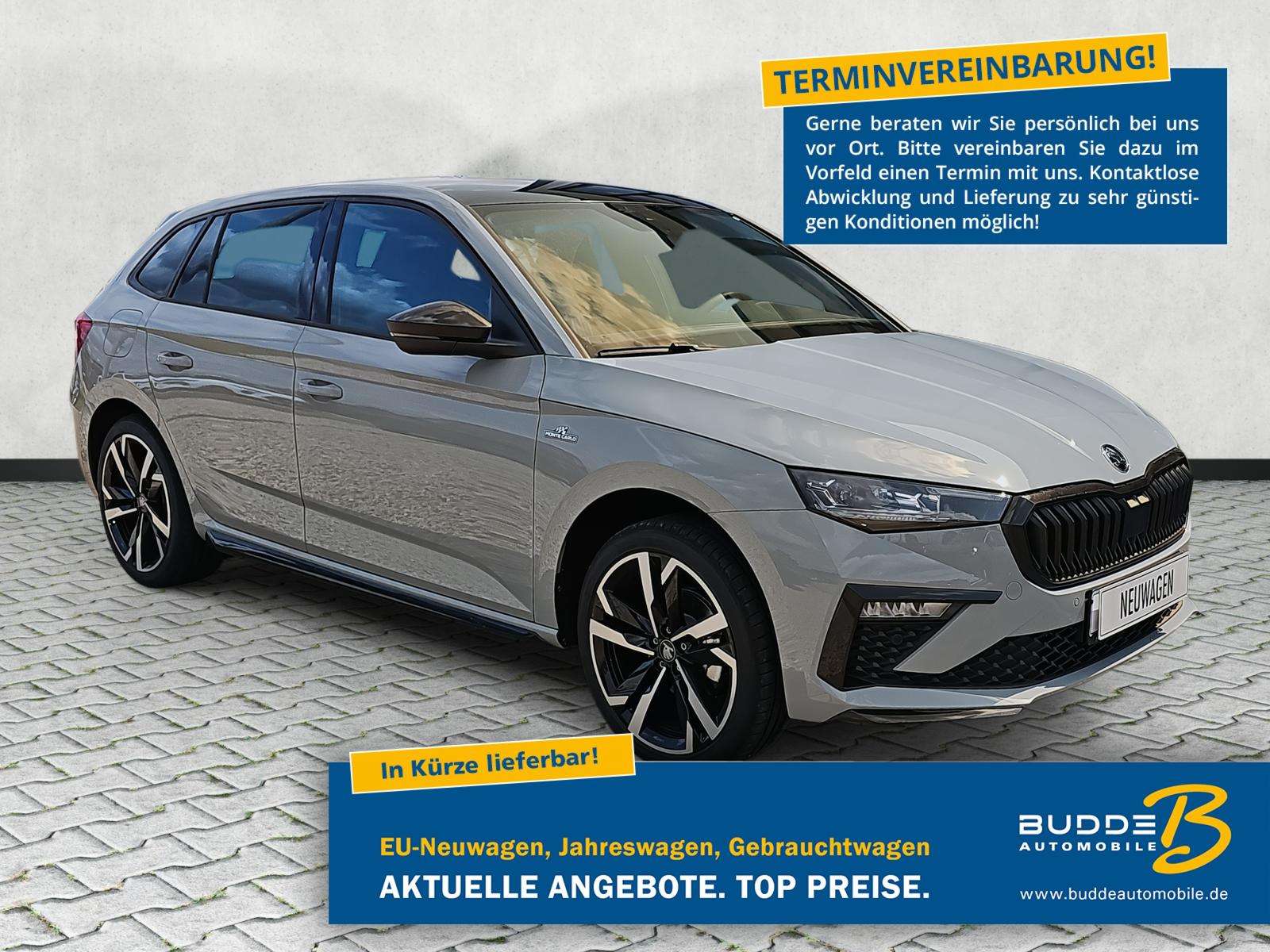 Fahrzeugbild eines Skoda Scala