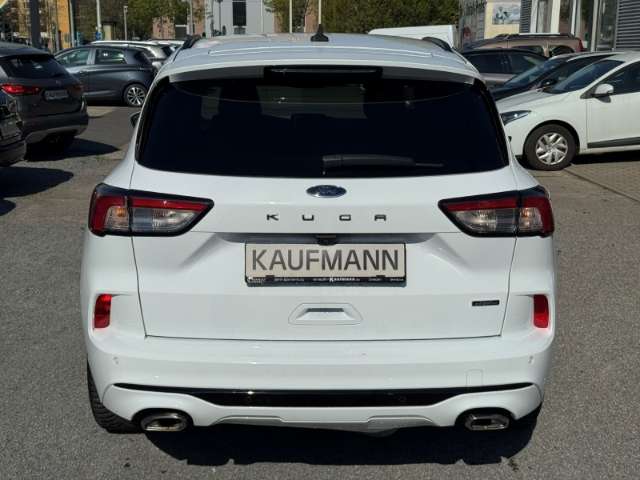 Fahrzeugbild eines Ford Kuga