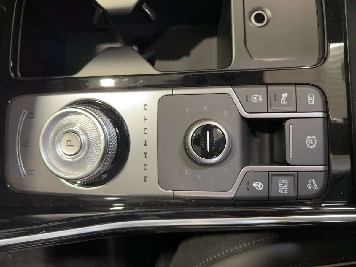 Fahrzeugbild eines Kia Sorento