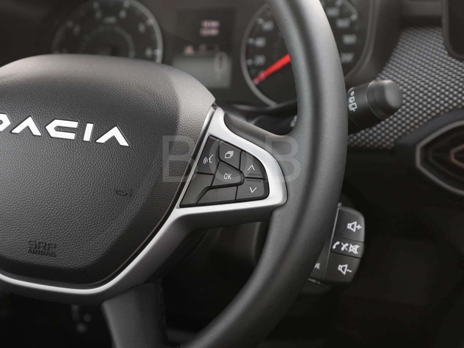 Fahrzeugbild eines Dacia Sandero