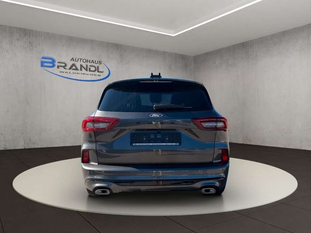 Fahrzeugbild eines Ford Kuga