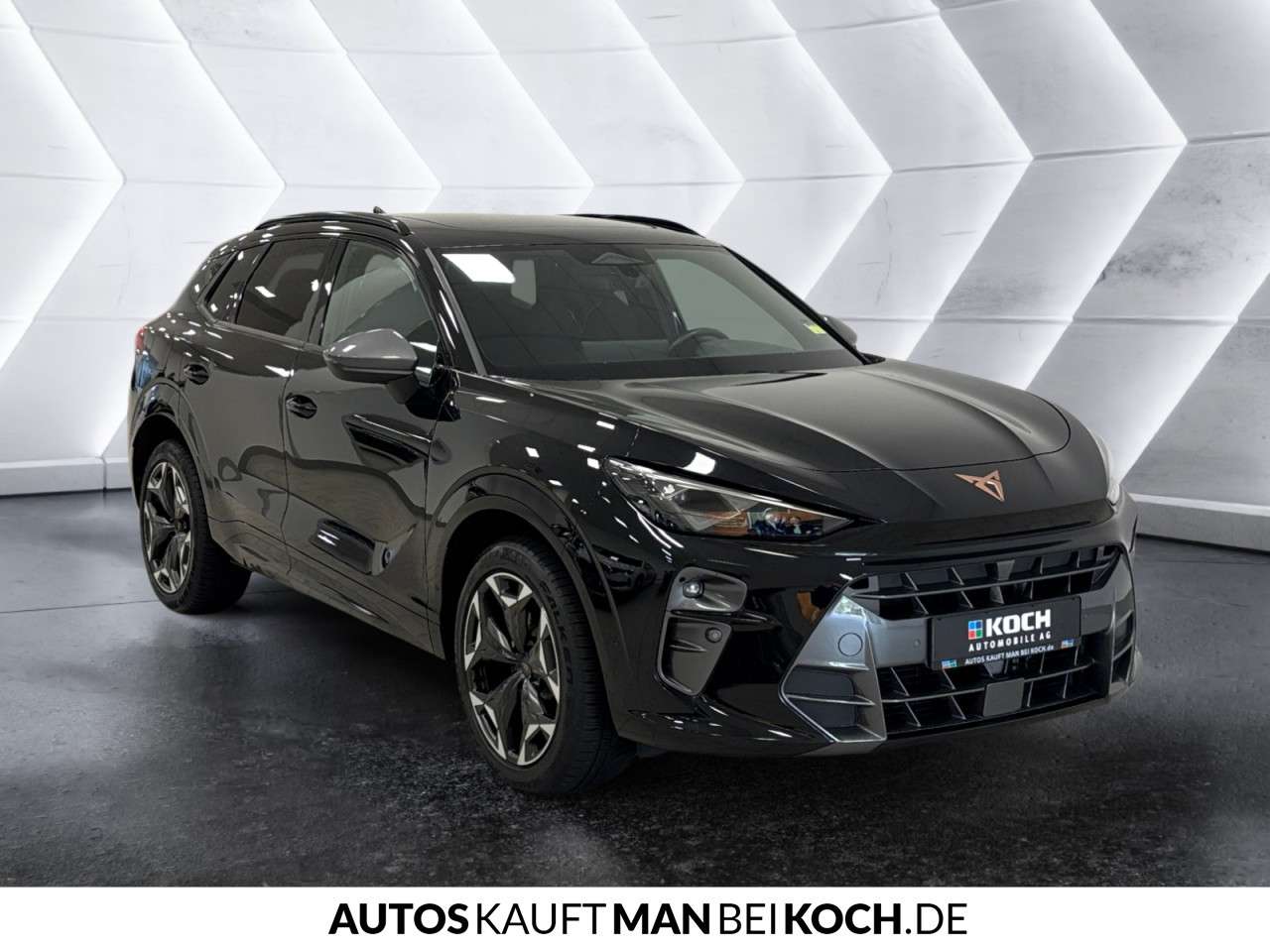 Fahrzeugbild eines CUPRA Terramar