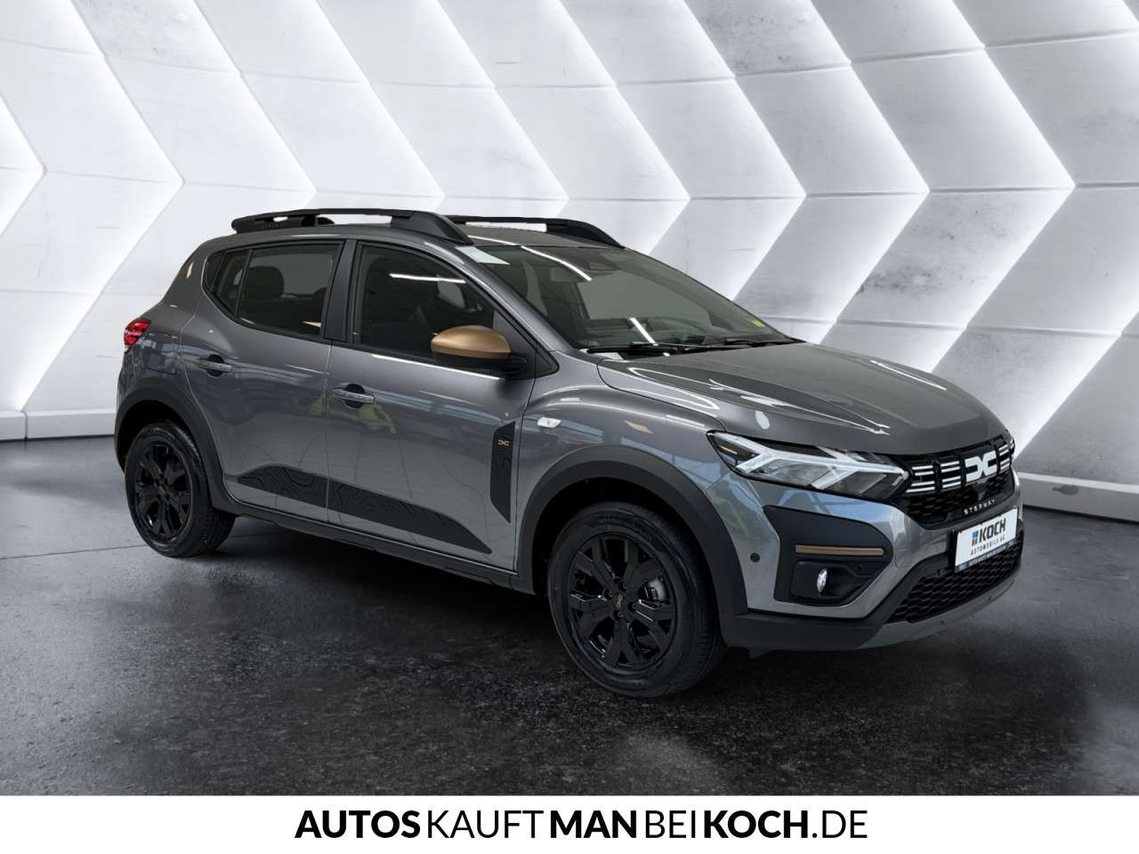 Fahrzeugbild eines Dacia Sandero