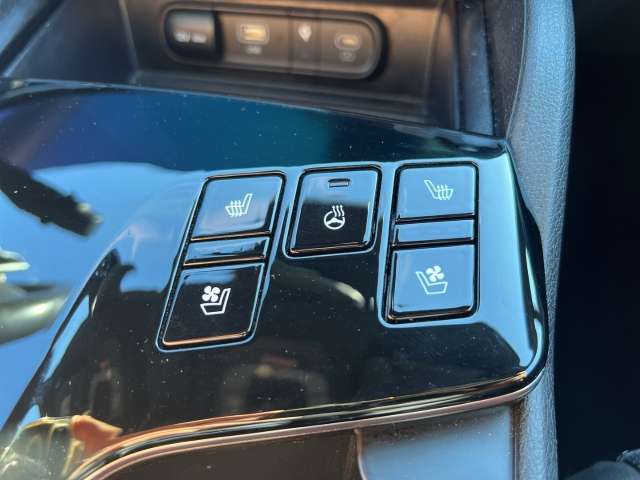 Fahrzeugbild eines Kia Sportage