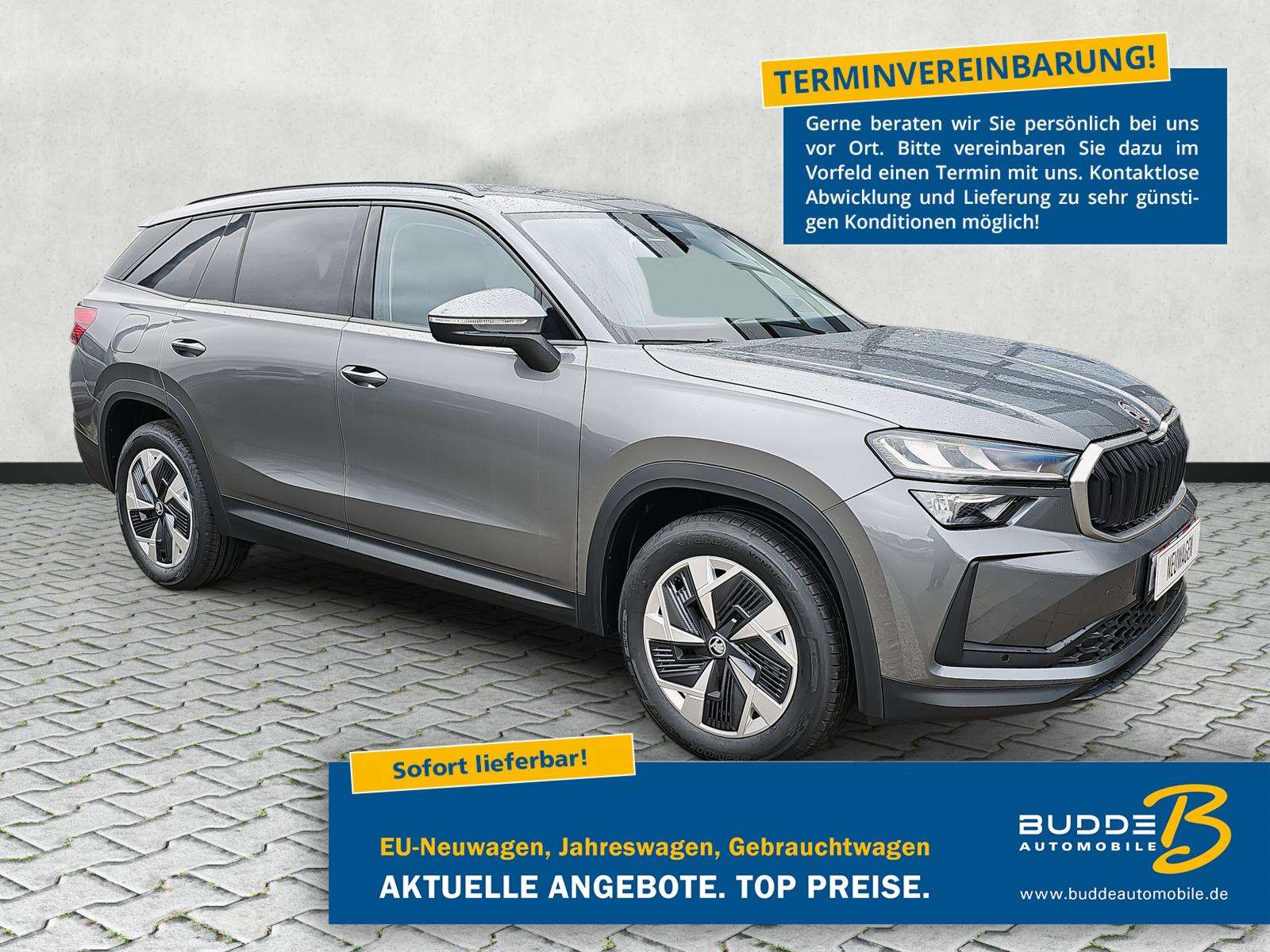 Fahrzeugbild eines Skoda Kodiaq