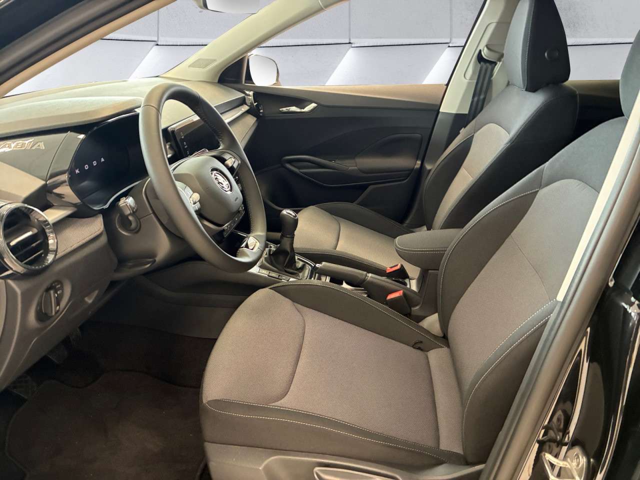 Fahrzeugbild eines Skoda Fabia