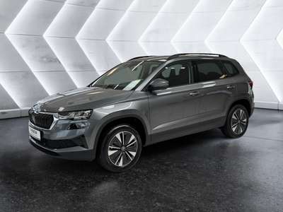 Bild Skoda Karoq