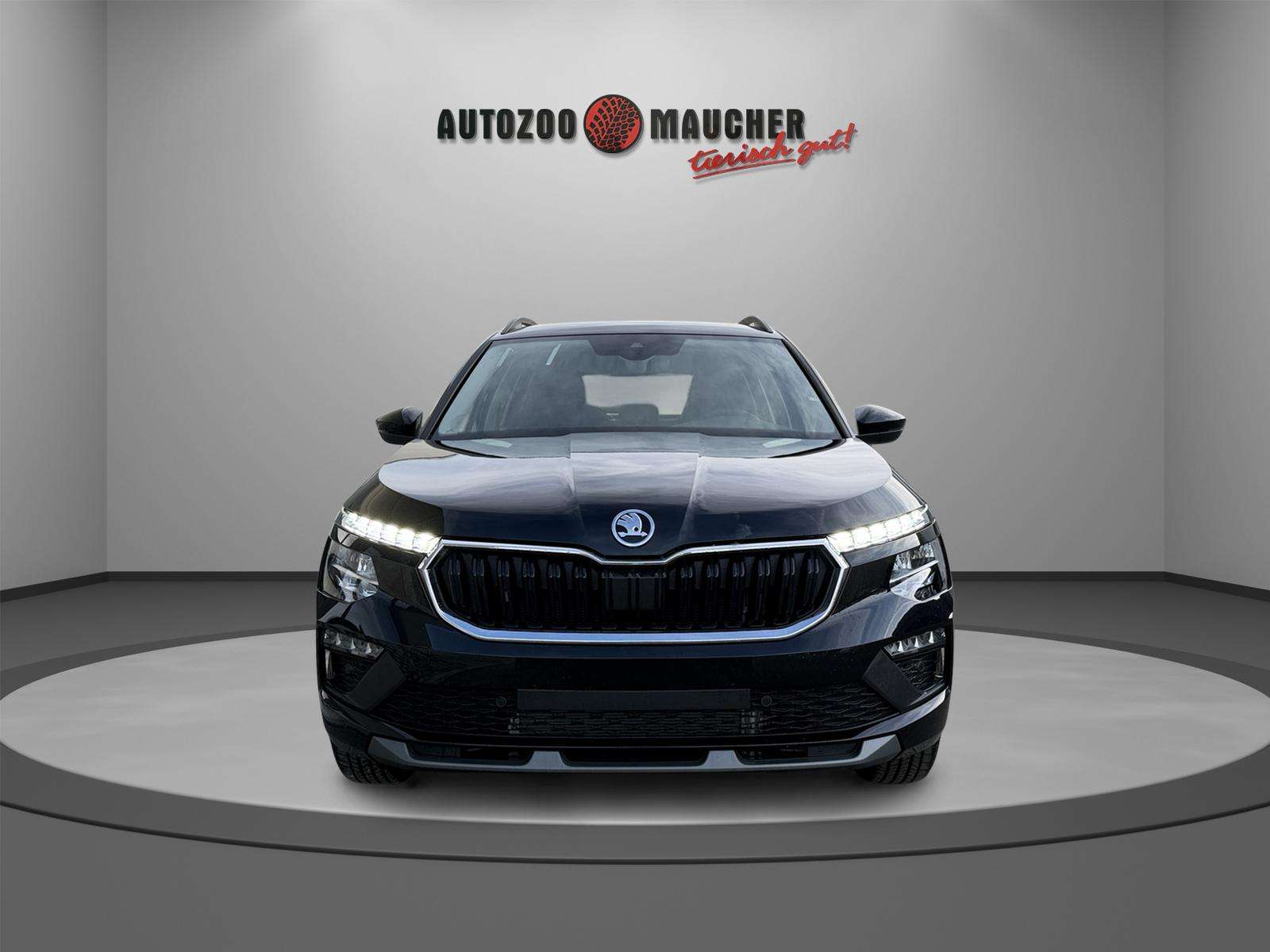 Fahrzeugbild eines Skoda Kamiq