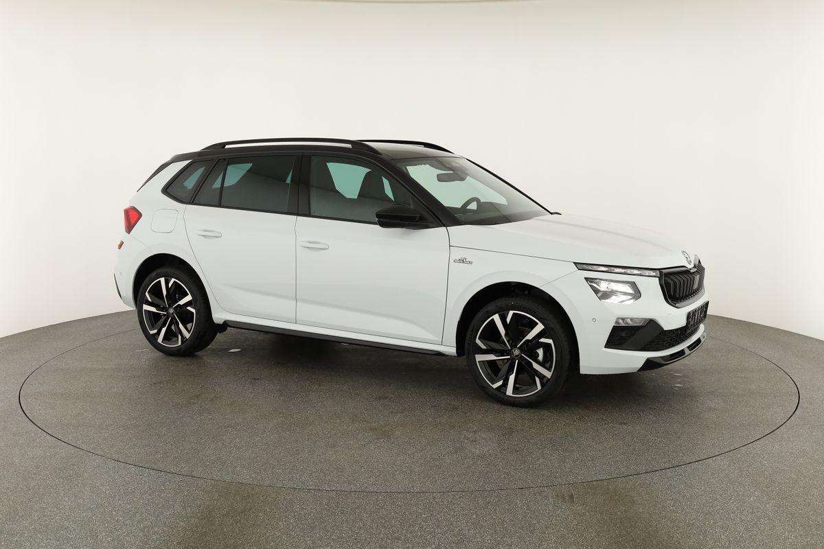 Fahrzeugbild eines Skoda Kamiq