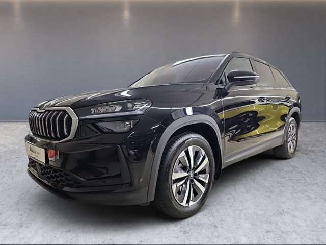 Fahrzeugbild eines Skoda Kodiaq