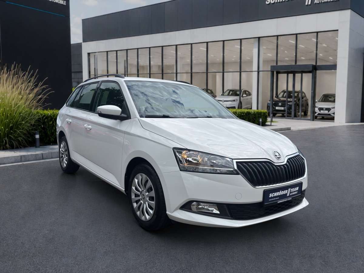 Fahrzeugbild eines Skoda Fabia