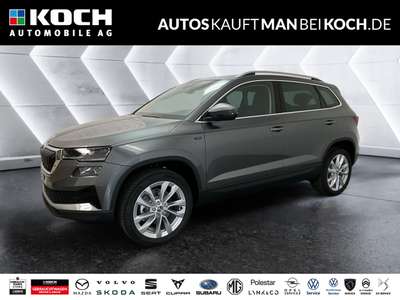 Bild Skoda Karoq