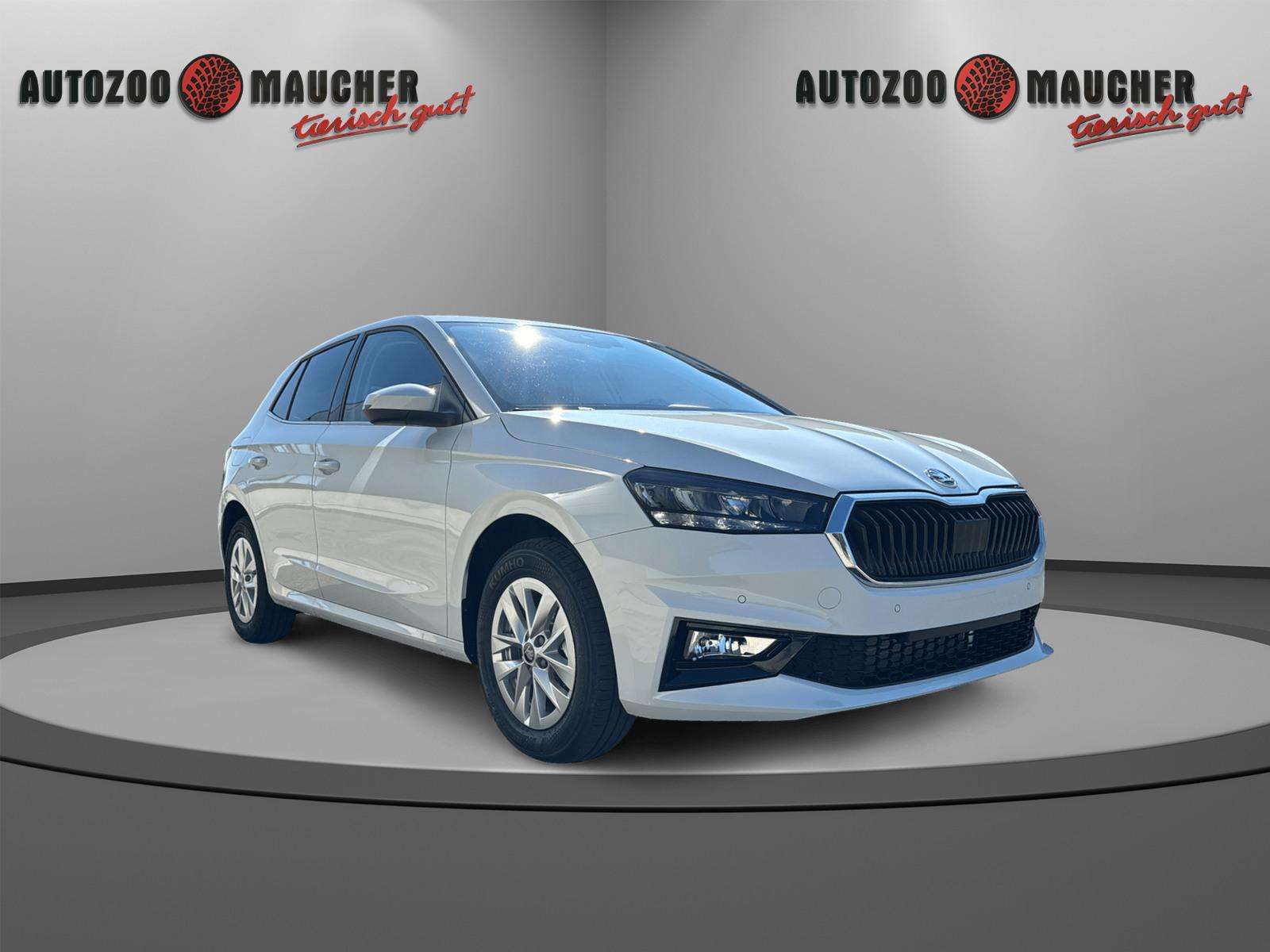 Fahrzeugbild eines Skoda Fabia