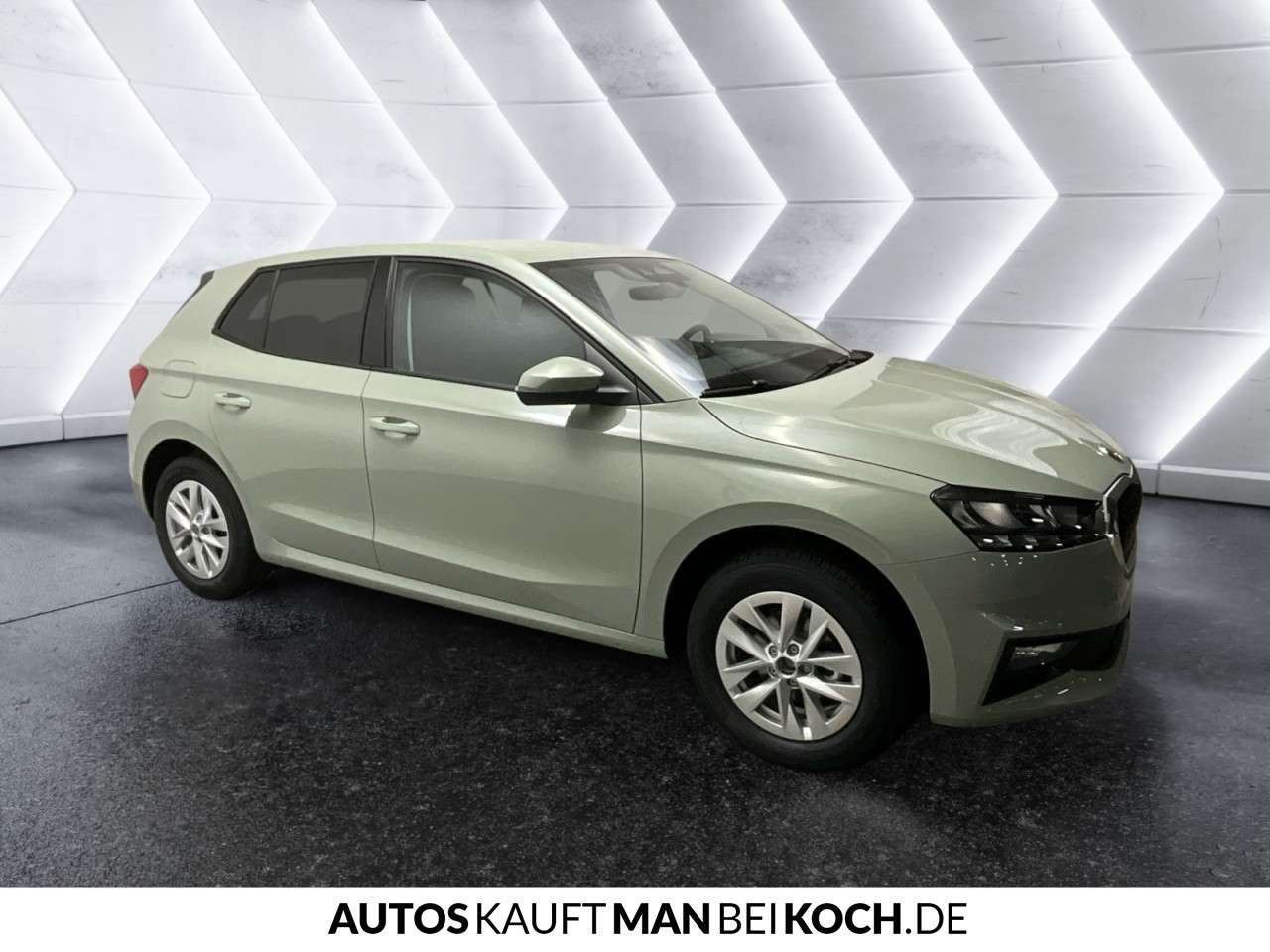 Fahrzeugbild eines Skoda Fabia