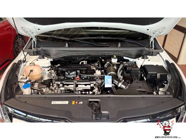 Fahrzeugbild eines Kia Sportage