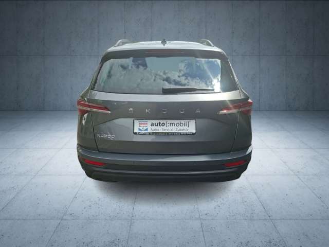 Fahrzeugbild eines Skoda Karoq