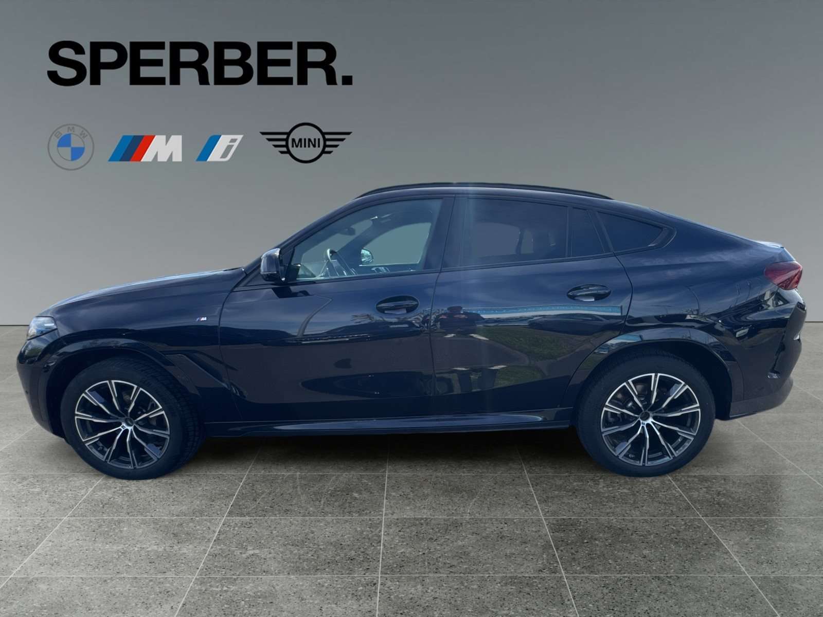 Fahrzeugbild eines BMW X6