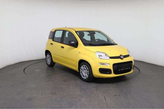 Fahrzeugbild eines Fiat Panda