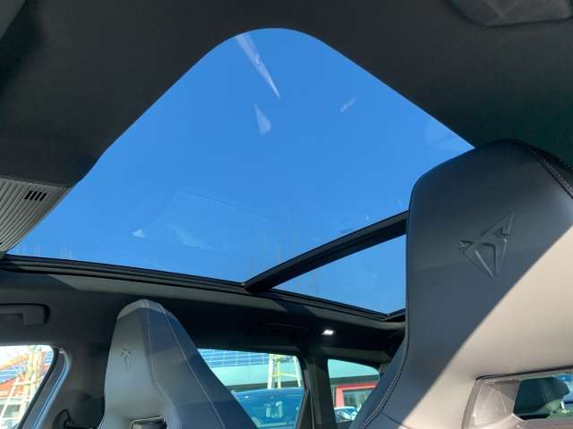 Fahrzeugbild eines CUPRA Leon