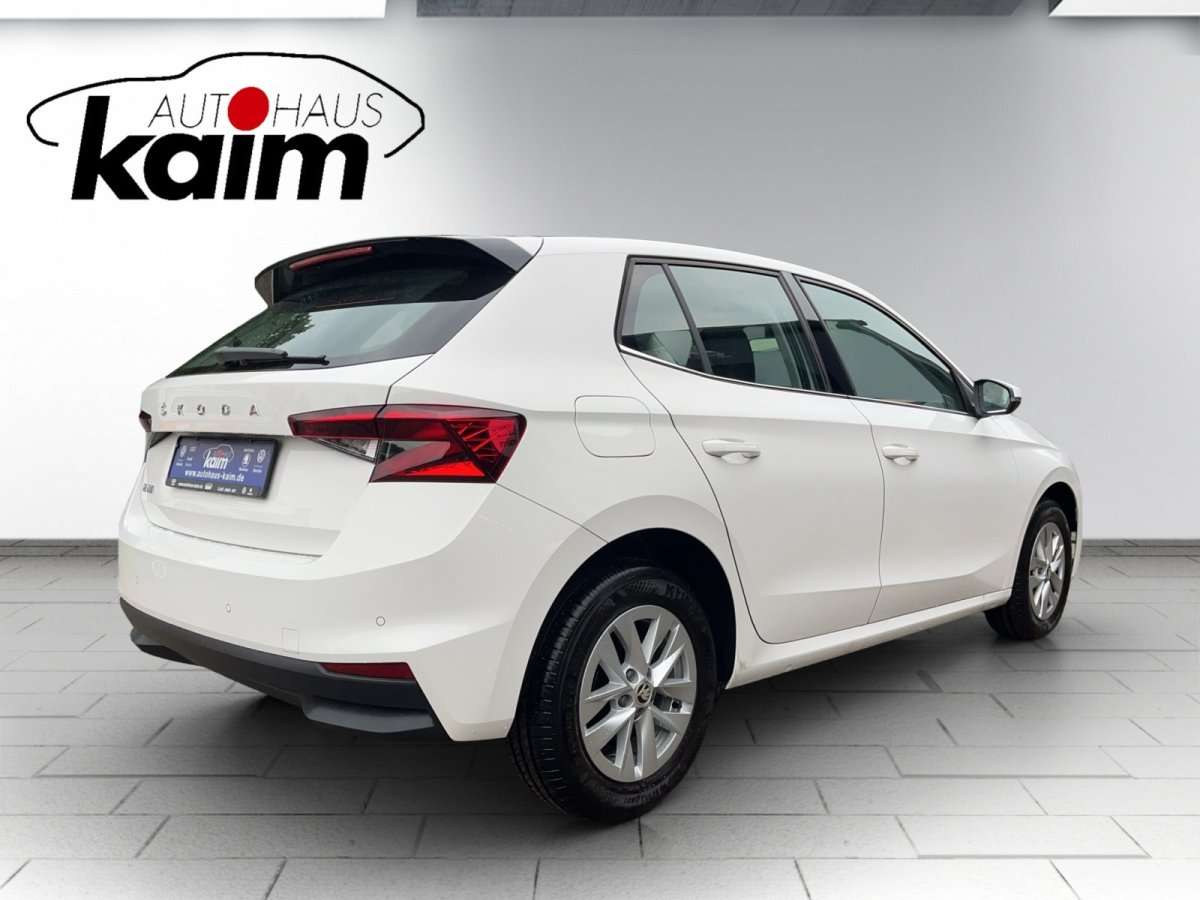 Fahrzeugbild eines Skoda Fabia