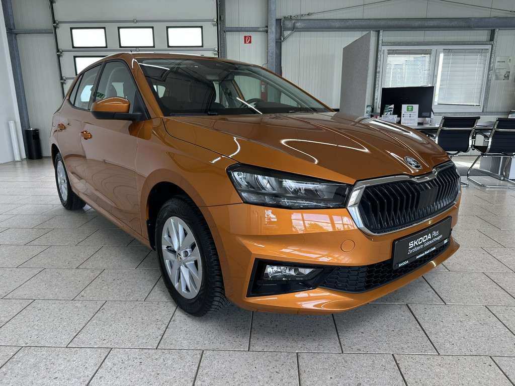 Fahrzeugbild eines Skoda Fabia