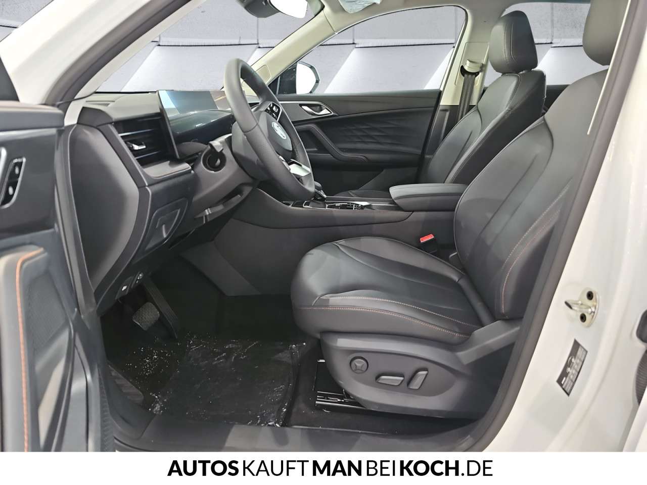 Fahrzeugbild eines MG HS