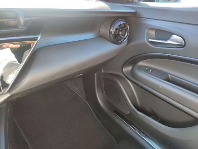 Fahrzeugbild eines Alfa Romeo Junior