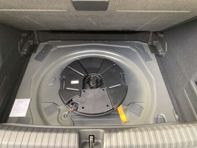 Fahrzeugbild eines CUPRA Terramar